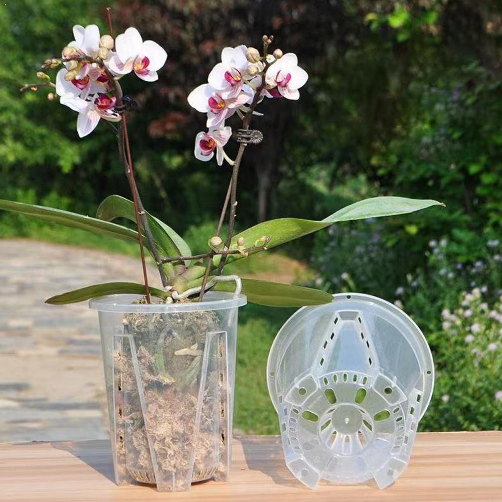 Plant Parent - Maceta Transparente de Plástico para Control