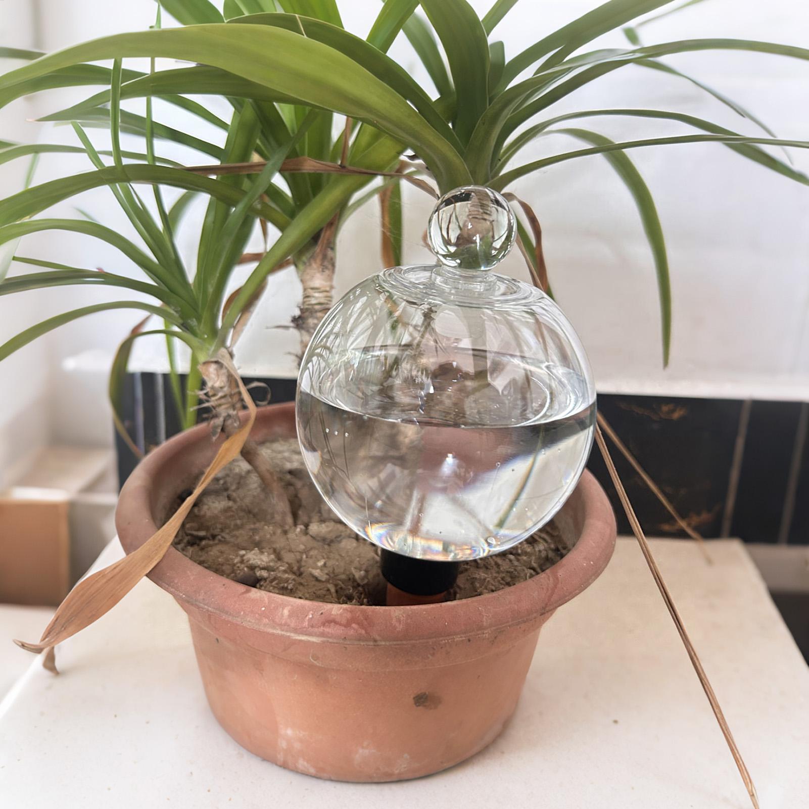 Bombillas de Riego para Planta - Plant Parent reseña y precio