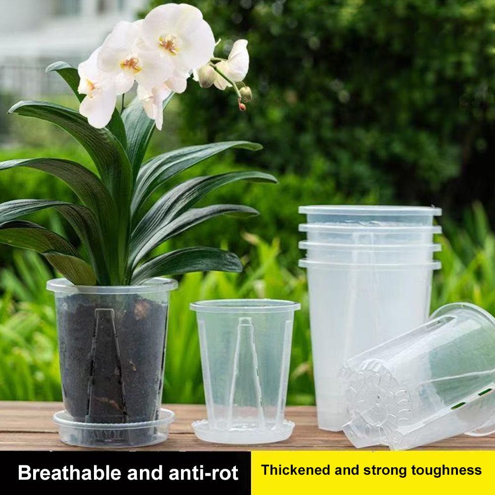 Maceta Transparente de Plástic - Plant Parent reseña y precio