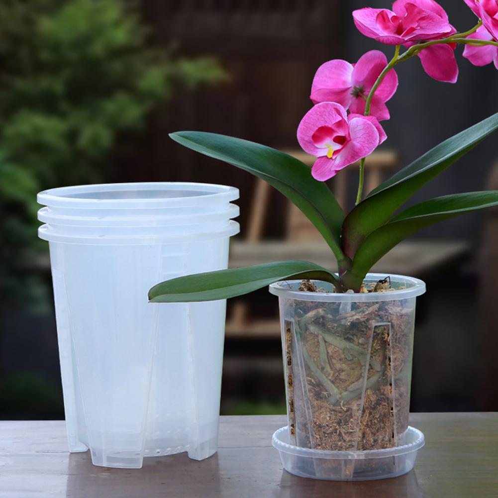 Maceta Transparente de Plástic - Plant Parent reseña y precio