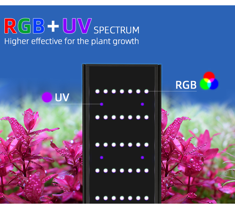 WEEK AQUA Serie L Control de a - Plant Parent App reseña y precio