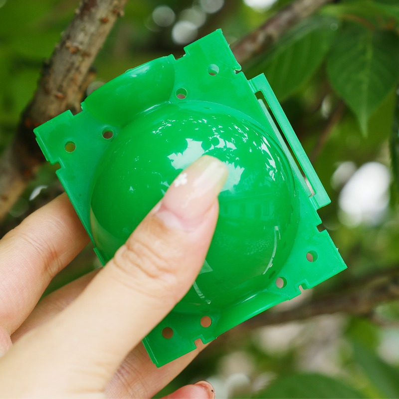 Cápsulas de aireación para raí - Plant Parent reseña y precio