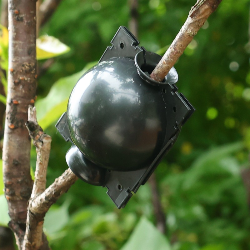 Cápsulas de aireación para raí - Plant Parent reseña y precio