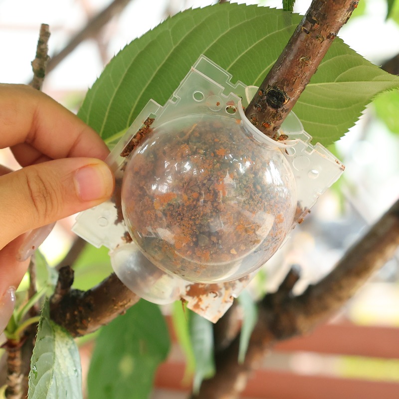 Cápsulas de aireación para raí - Plant Parent reseña y precio